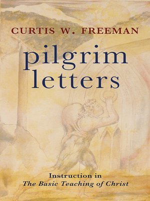cover image of Pilgrim Letters